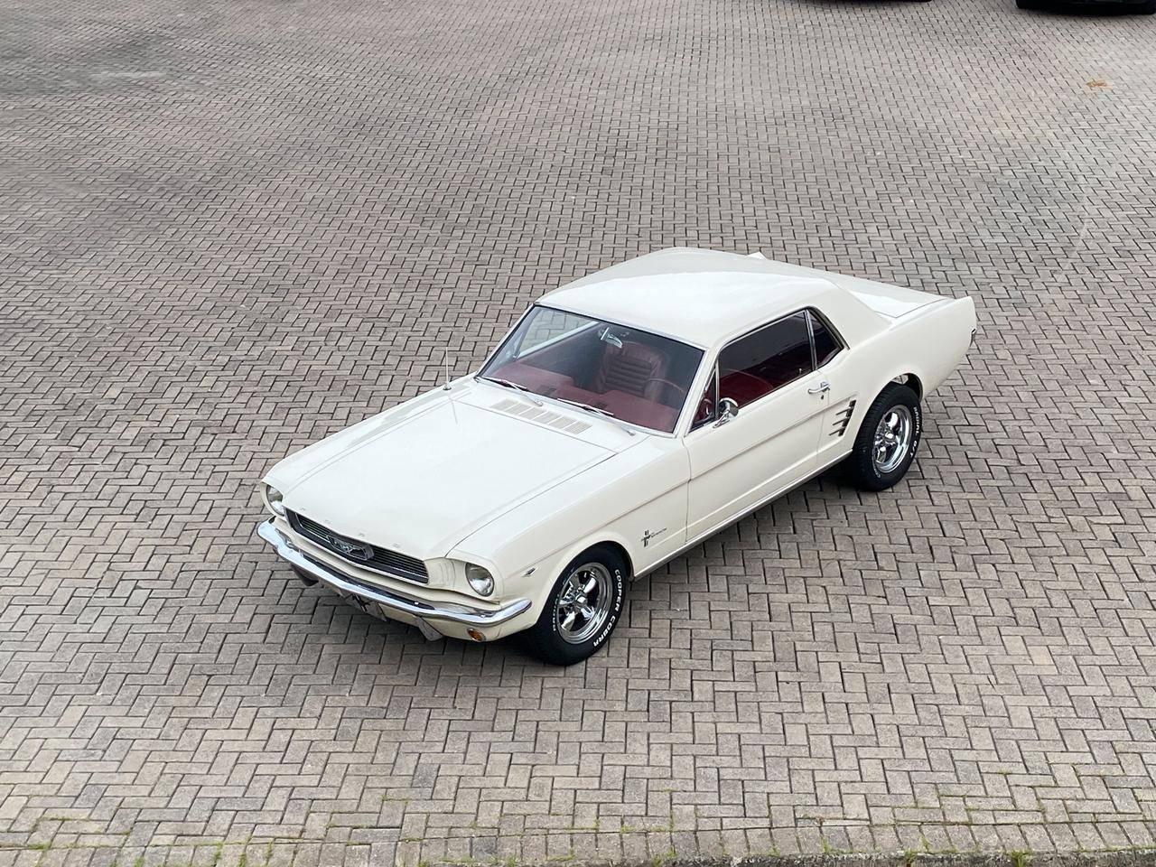 Foto número 486018 do veiculo