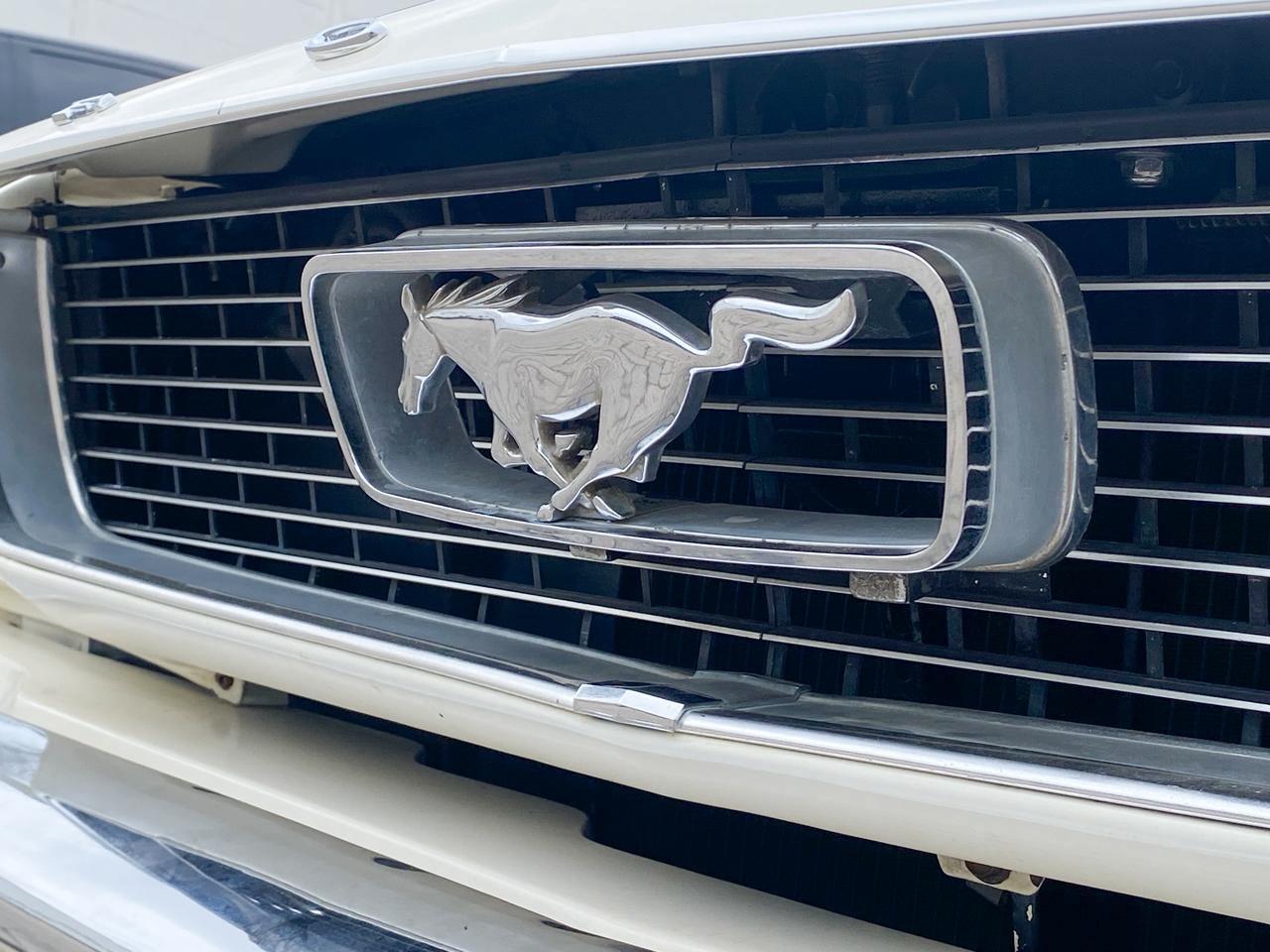 Foto número 486032 do veiculo