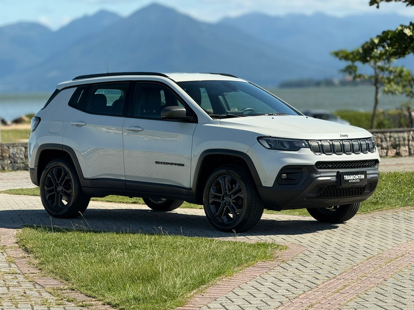 Foto número 549813 do veiculo