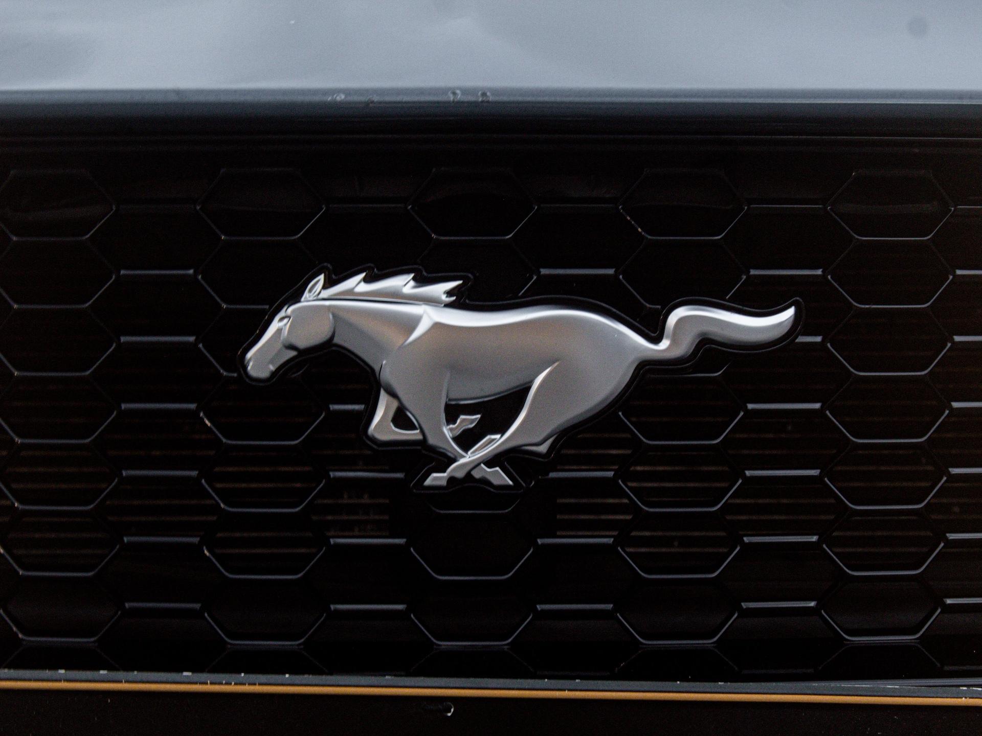 Foto número 550584 do veiculo