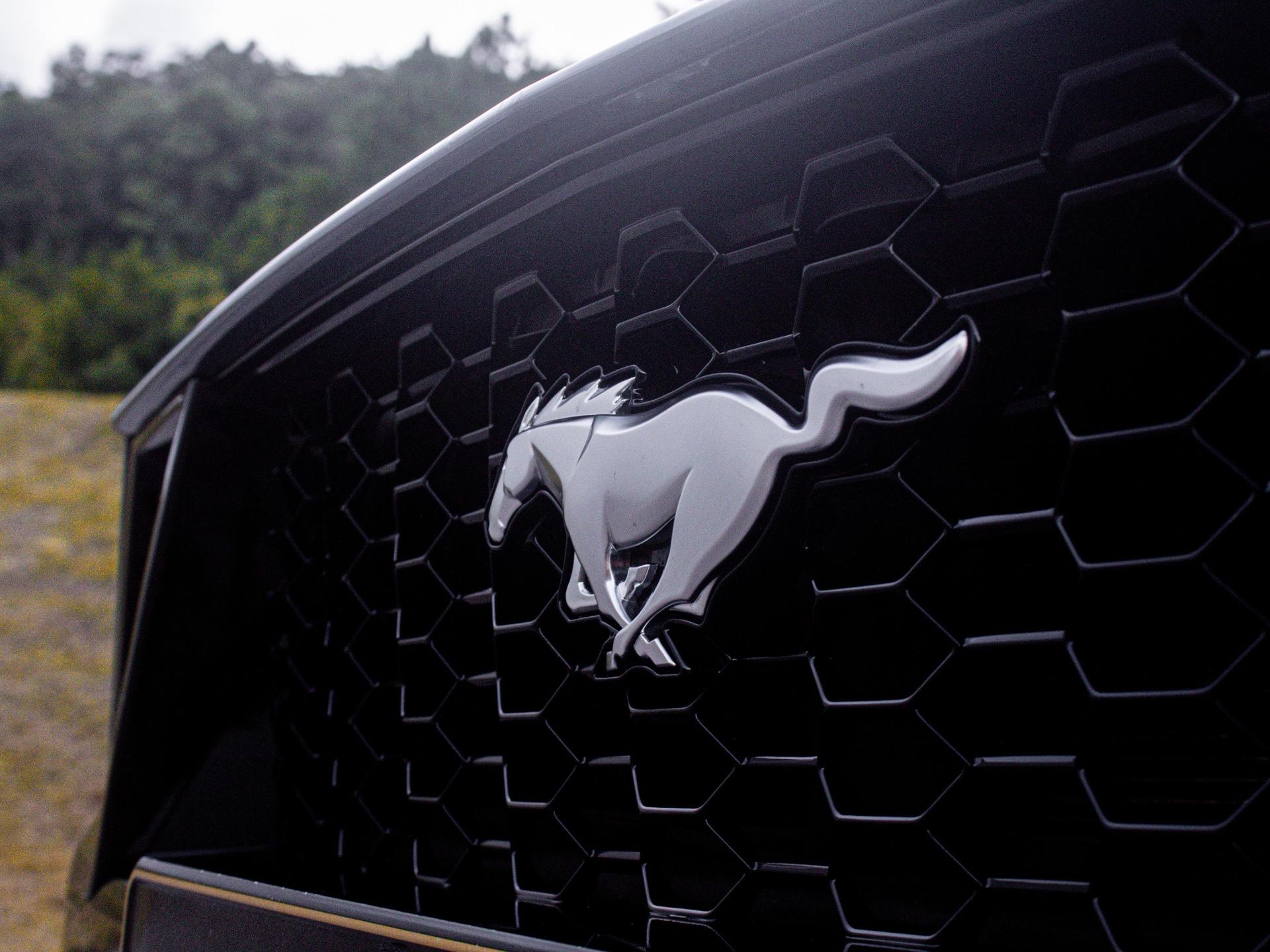 Foto número 550591 do veiculo